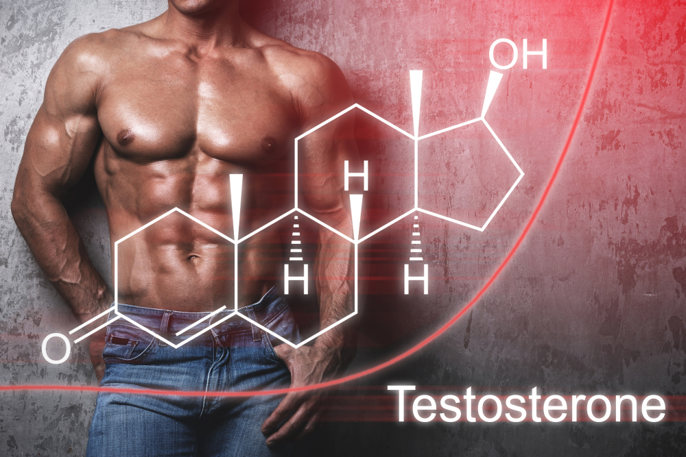 Testosterone | Dr. Christopher Calapai